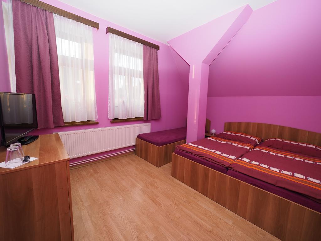 Penzion U Krejzu Dolní Poustevna Extérieur photo